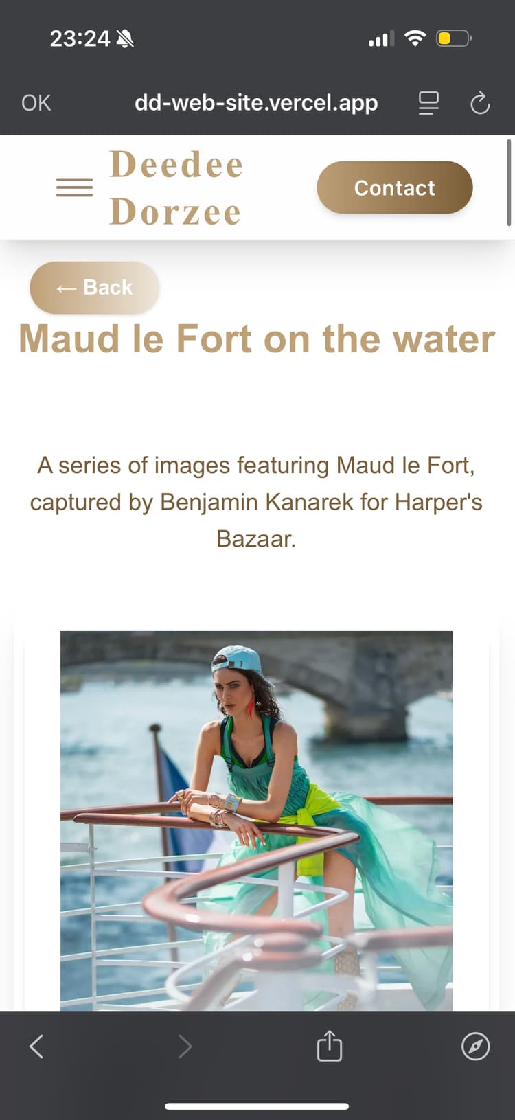 /img_Project_dd_portfolio_presentation